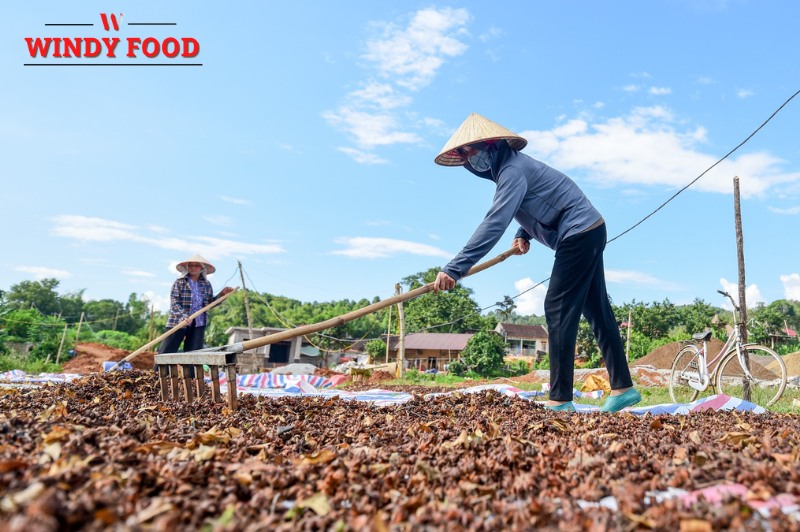 hoa hồi khô giá