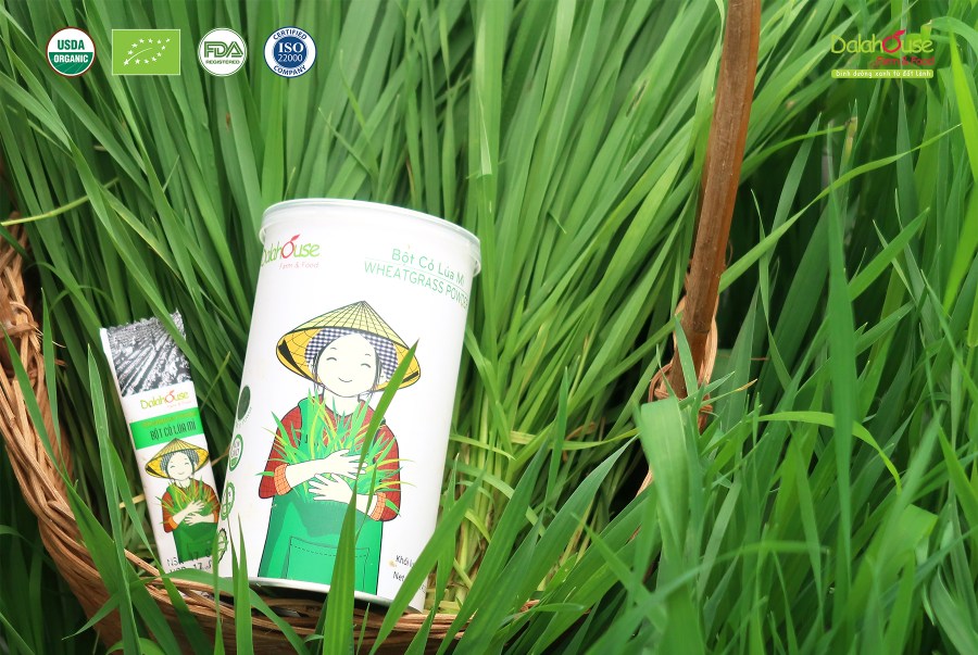 bột cỏ lúa mì