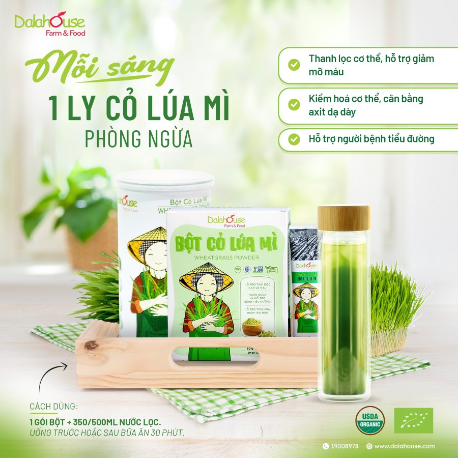 bột cỏ lúa mì sấy lạnh
