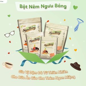 bột nêm ngưu bàng