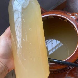 giấm táo mèo