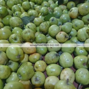 giấm táo mèo