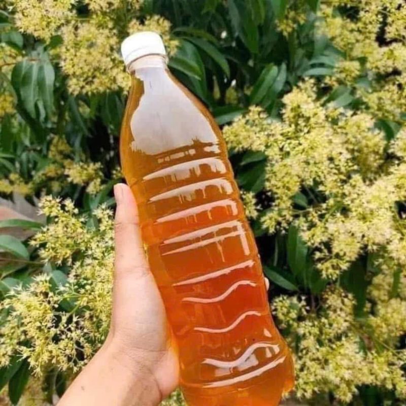 mật ong hoa vải