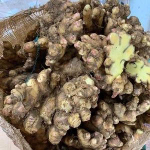 nước cốt gừng xuyên khung trục hàn