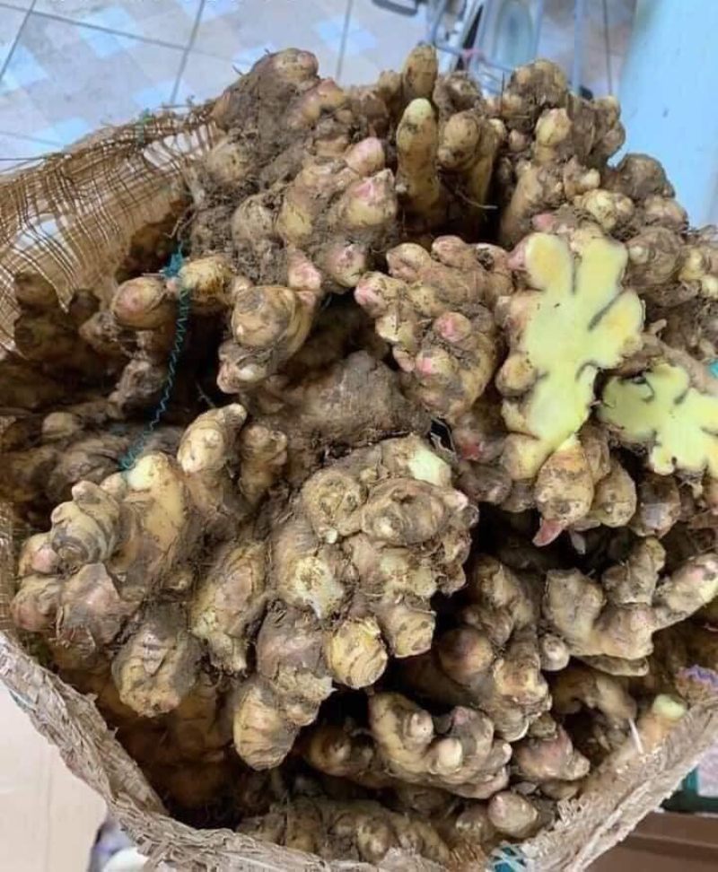 nước cốt gừng xuyên khung trục hàn