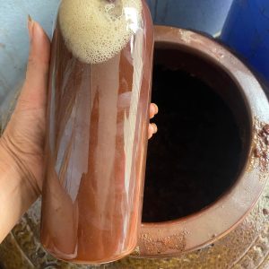 nước cốt trái nhàu