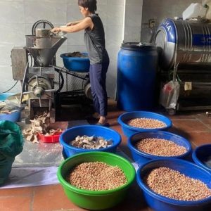 dầu lạc nguyên chất