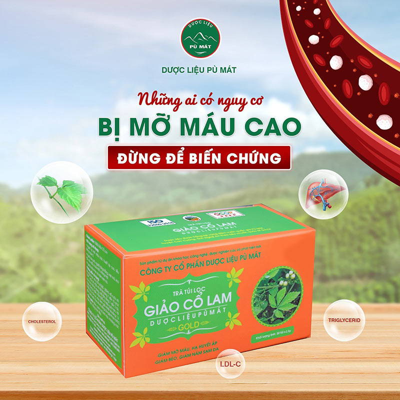 trà giảo cổ lam