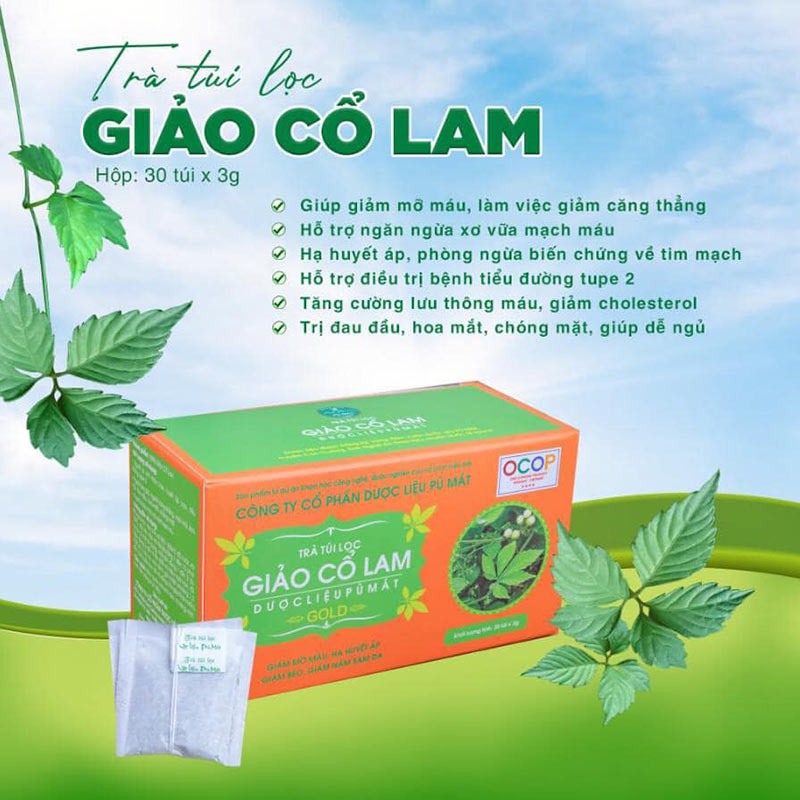 trà giảo cổ lam