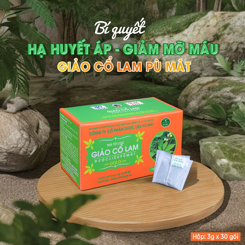 trà giảo cổ lam