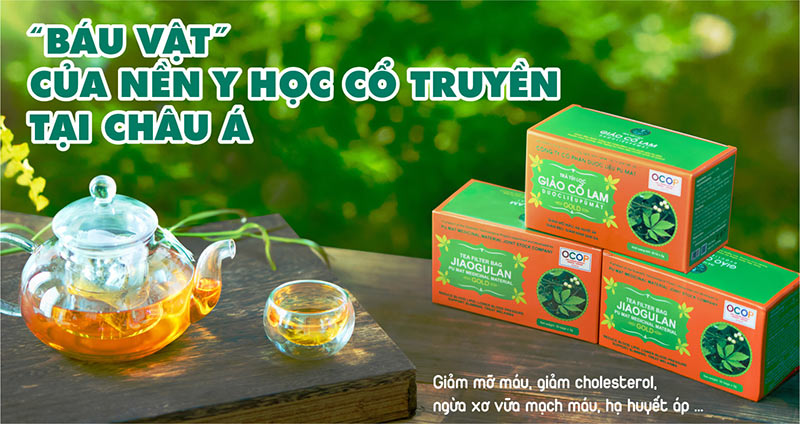 trà giảo cổ lam