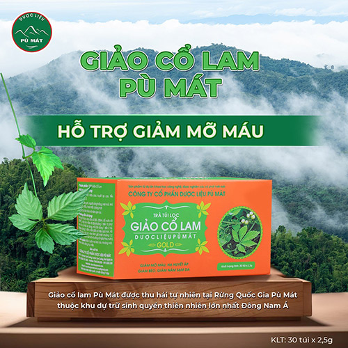 trà giảo cổ lam túi lọc
