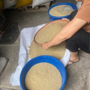gạo lứt nguyên cám