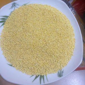 hạt kê nếp vàng