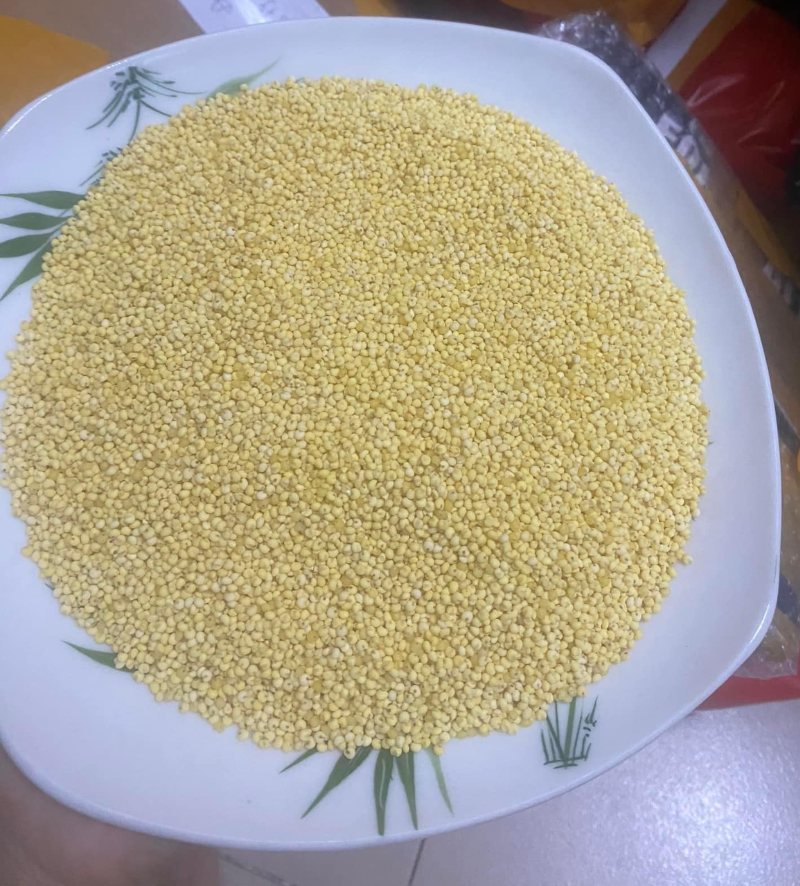 hạt kê nếp vàng