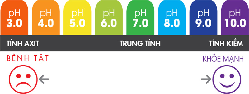 kiềm hóa cơ thể