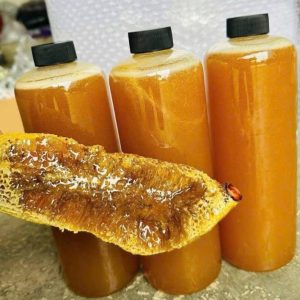 mật ong rừng tây bắc nguyên chất