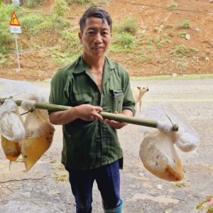 mật ong rừng tây bắc nguyên chất