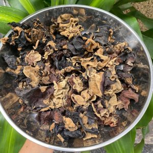 mộc nhĩ rừng tây bắc