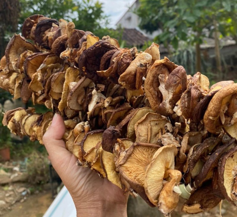 nấm hương rừng khô